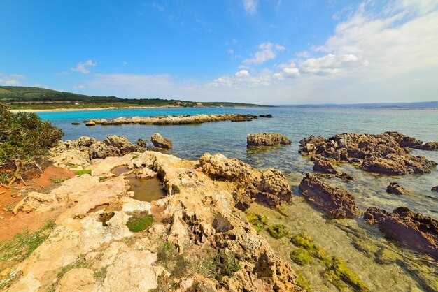 Rocce gialle in una piccola baia in Sardegna Italia