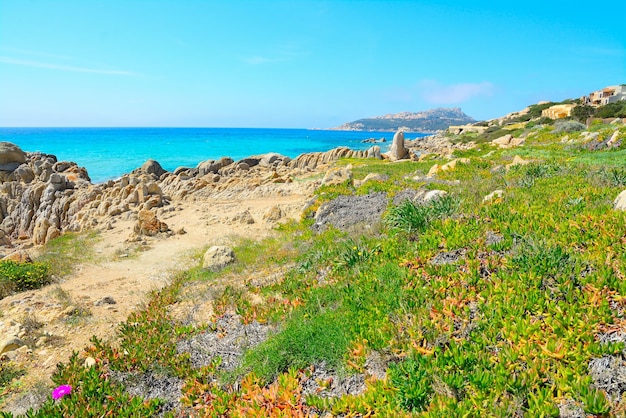 Rocce gialle nella spiaggia di Santa Reparata Sardegna