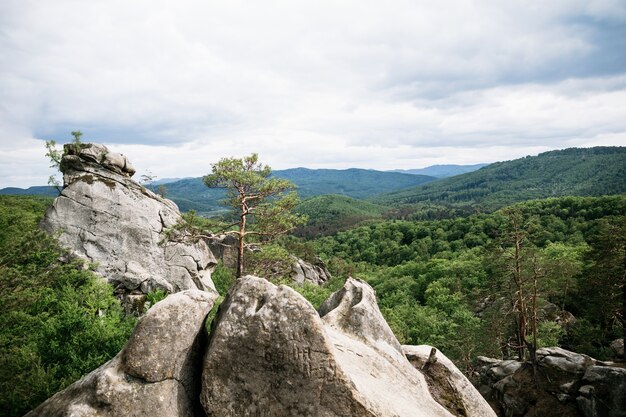 Rocce in montagna tra la foresta