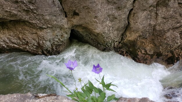 Rocce in un mare