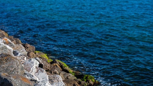 Rocce marine in primo piano con acqua di mare sullo sfondo