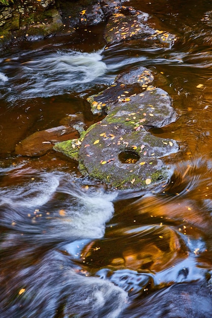 Rocce nel mezzo del torrente con acqua che infuria intorno e foglie che coprono