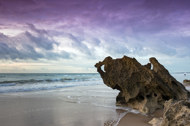 Rocce nella spiaggia di La Barrosa a Cadice