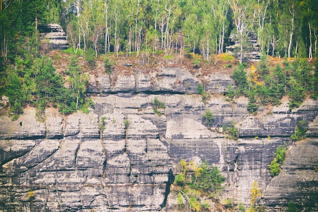 Rocce ricoperte di foresta