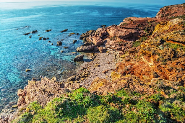 Rocce rosse e piante verdi in riva al mare in Sardegna Italia