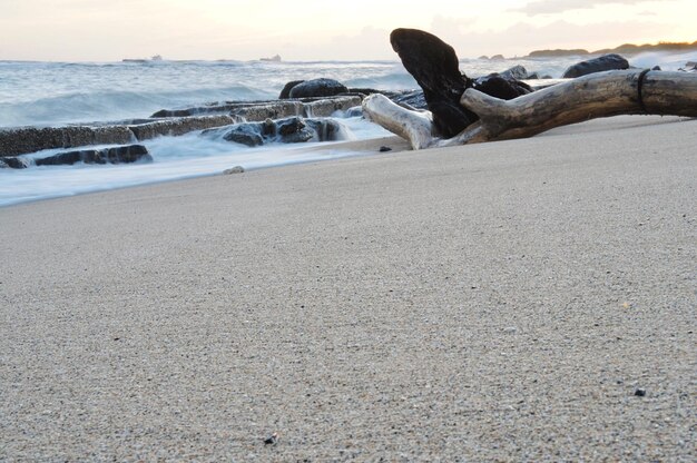 Rocce sulla spiaggia contro il cielo