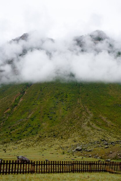 Roccia avvolta nella nebbia ricoperta di erba verde