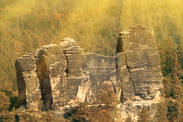 Roccia circondata dalla foresta