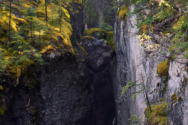 Roccia meravigliosa nel Canyon del Maligne