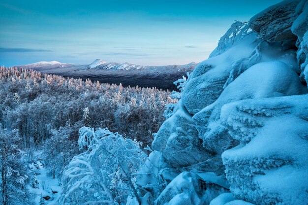 Roccia, montagne innevate e foresta invernale nella luce della sera