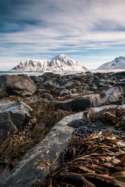 Roccioso con erba sulla costa con la montagna di neve