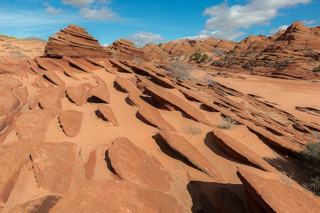 Rock deserto in Arizona