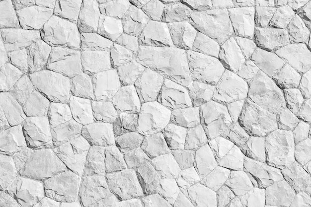 Rock pattern di colore grigio e pianta Mos di design in stile moderno decorativo irregolare