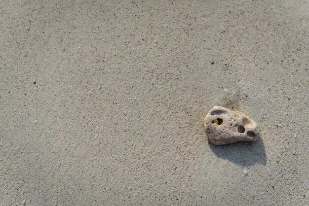 Rock sulla spiaggia