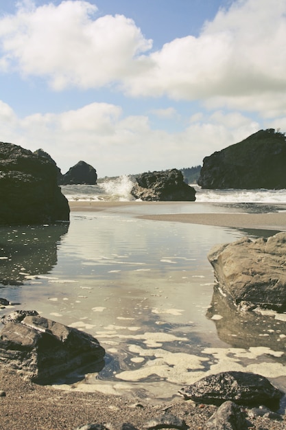 Rocky Shore