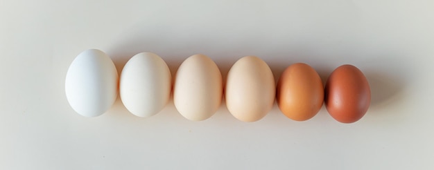 Roda di uova di diverse sfumature di marrone su uno sfondo beige chiaro gradiente di colore naturale
