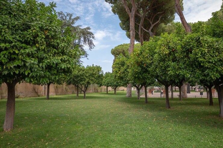 Foto roma, italia - 23 giugno 2018: vista panoramica del giardino degli aranci (giardino degli aranci) sul colle aventino. la gente cammina e riposa nel parco nazionale di roma. giornata estiva e cielo azzurro