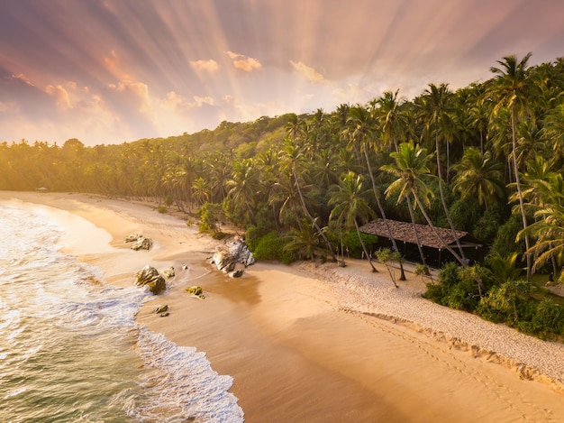 Romantico tramonto su una spiaggia tropicale con palme