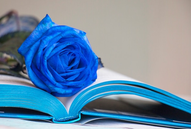 Rosa blu su un libro blu da vicino