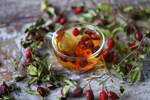 Rosa canina Tè con rosa canina in una tazza di vetro