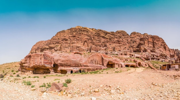 Rosa Città di Petra