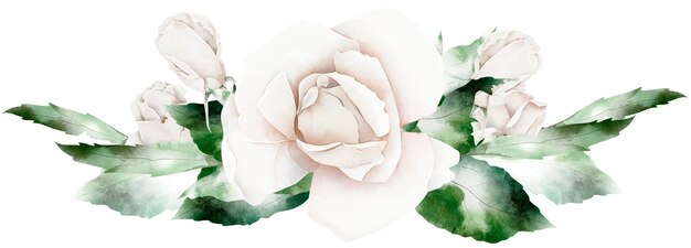 Rosa con il bordo dell'illustrazione dell'acquerello dei petali grandi