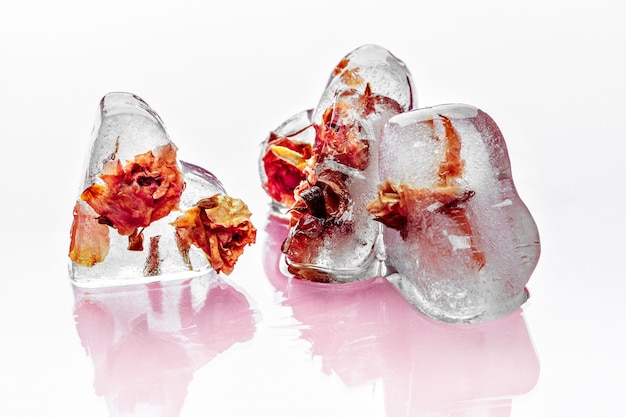 Rosa congelata in cubetto di ghiaccio