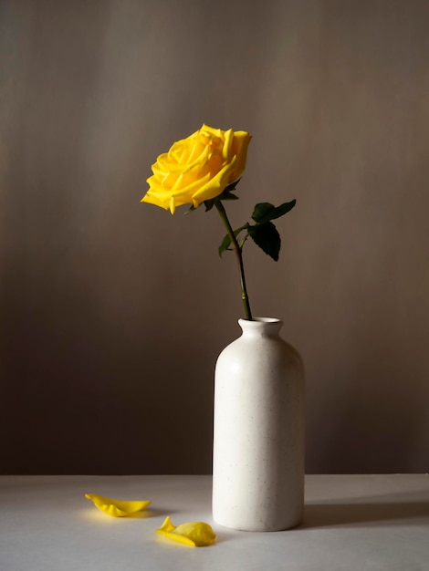 Rosa gialla in un vaso ancora in vita