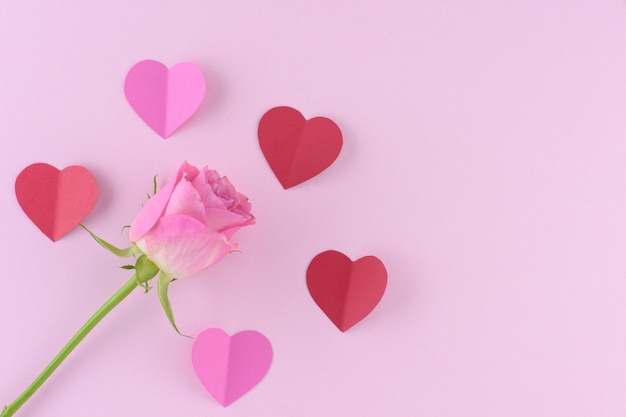 Rosa rosa con cuori, sullo sfondo del giorno di San Valentino