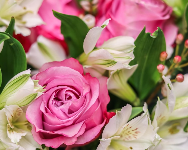 Rosa rosa in composizione floreale Decorazione rose e piante ornamentali