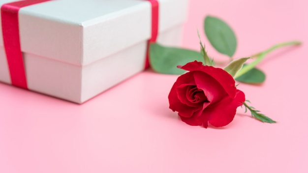 Rosa rossa e confezione regalo su uno sfondo rosa.