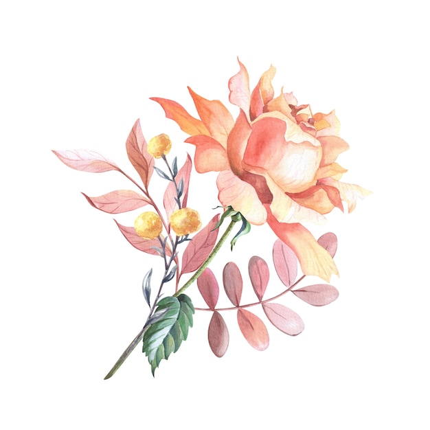 Rosa Tea Acquerello con foglie. Composizione floreale dell'acquerello su fondo bianco. Disposizione del fiore. Illustrazione per scrapbooking. Biglietto di auguri per matrimonio, compleanno.