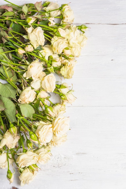 Rose beige fresche sui bordi di legno bianchi vecchi. Il concetto festivo per matrimoni, compleanni, 8 marzo, festa della mamma o San Valentino. Biglietto d'auguri