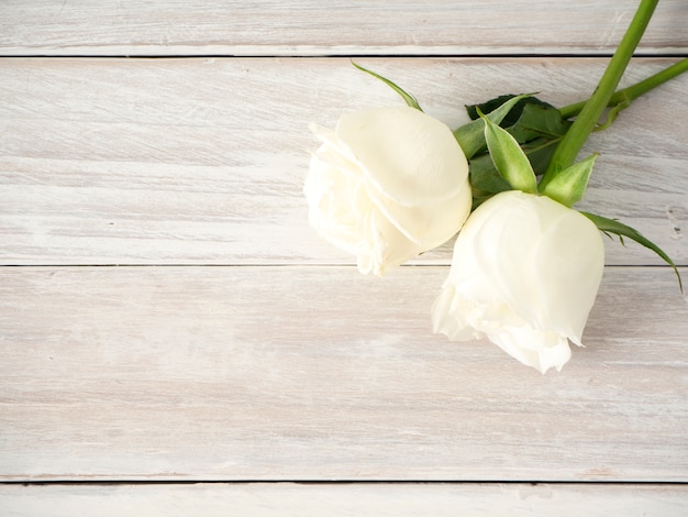 Rose bianche su un tavolo di legno bianco