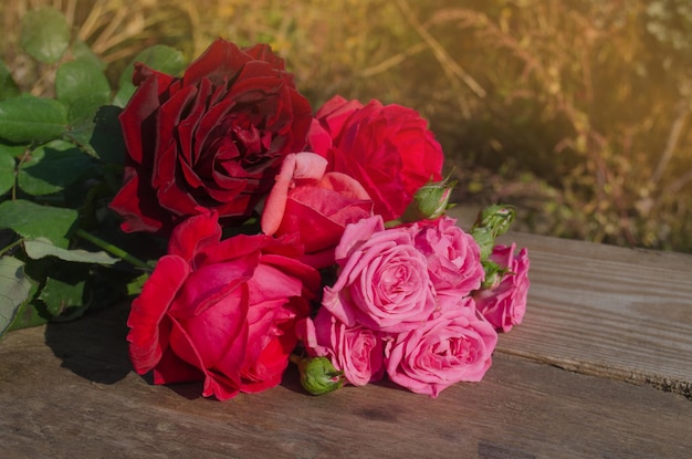 Rose colorate miste in piena fioritura Fiori di rose di bellezza Fiori freschi da giardino su tavola di legno