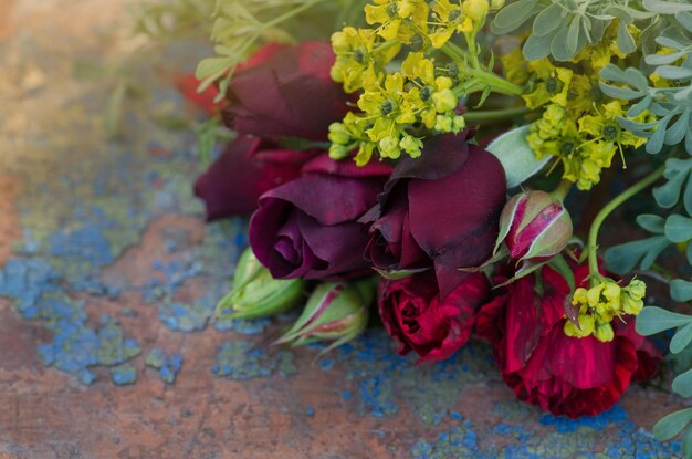 Rose colorate miste in piena fioritura Fiori di rose di bellezza