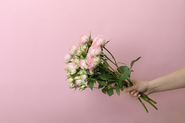 Rose della stretta della mano femminile sul rosa