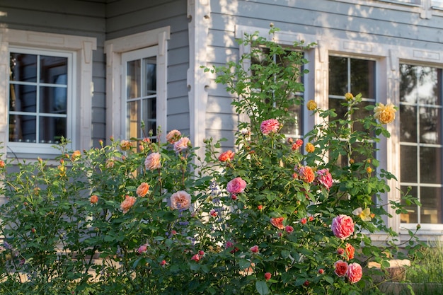 Rose e giardino di erbe aromatiche al di fuori di una casa di campagna