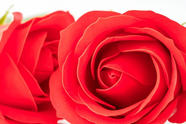 Rose finte di plastica rosse su bianco