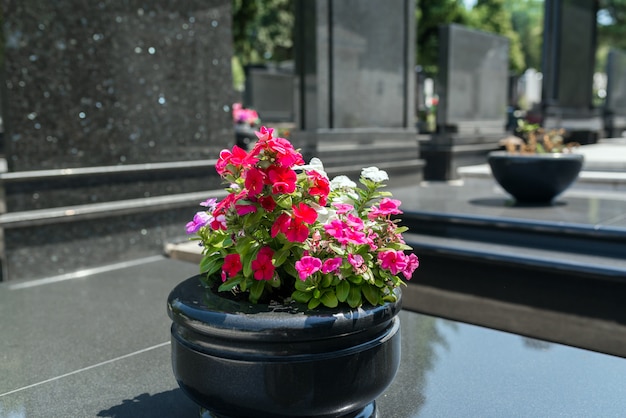 Rose in un cimitero con lapide