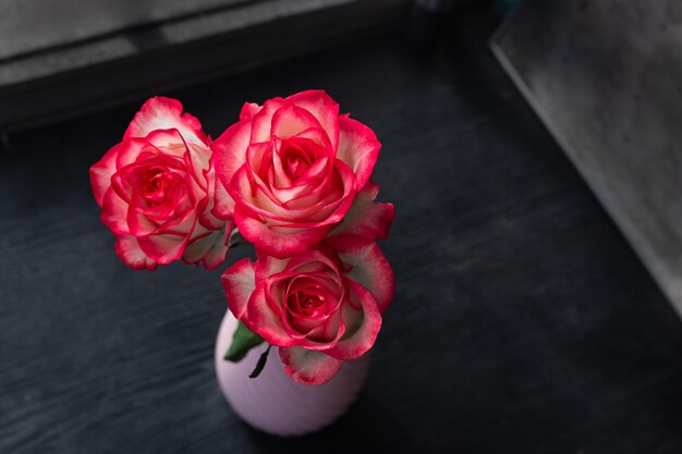 Rose minuscole rosa rosso tenue in vaso bianco su sfondo di legno grigio Delicate rose rosa germogliate