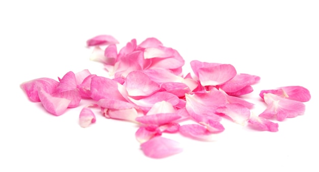 Rose Petals