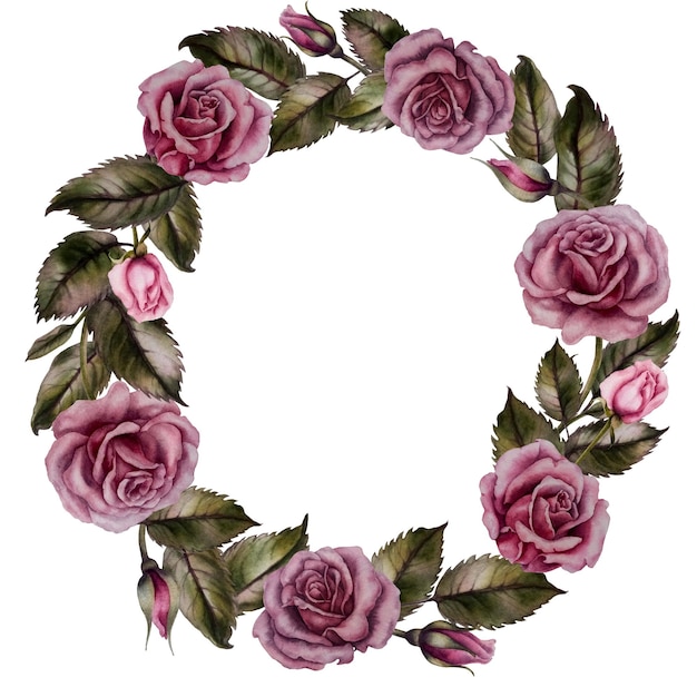 Rose rosa dell'acquerello e foglie verdi per San Valentino, matrimonio, festa della mamma, festa di compleanno