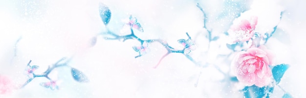 Rose rosa e farfalle nella neve e nel gelo su sfondo blu e bianco Immagine naturale invernale artistica Messa a fuoco selettiva e morbida Spazio di copia Formato banner