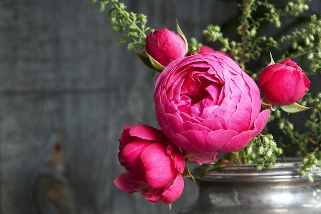 Rose rosa in vecchio vaso d&#39;argento e piante verdi