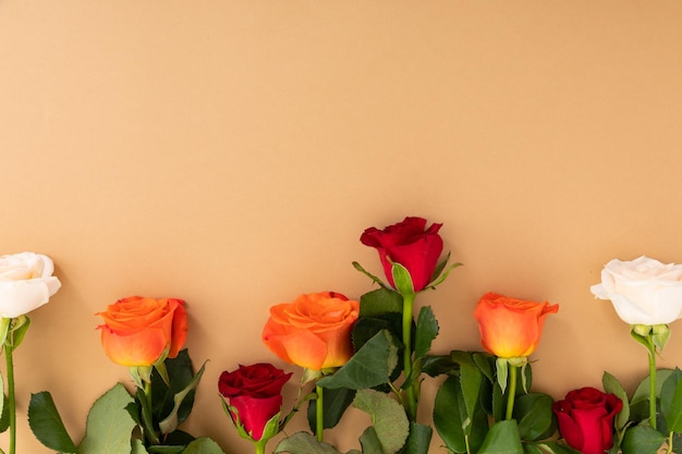 Rose rosse, bianche e arancioni in basso su sfondo arancione. celebrazione romanticismo fiore natura freschezza copia spazio.