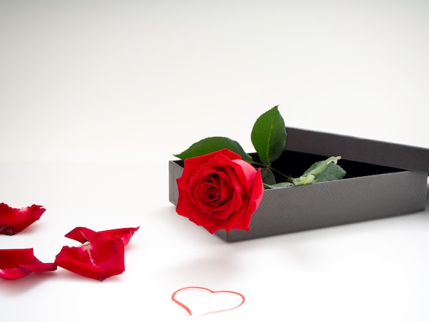 Rose rosse con confezione regalo a San Valentino