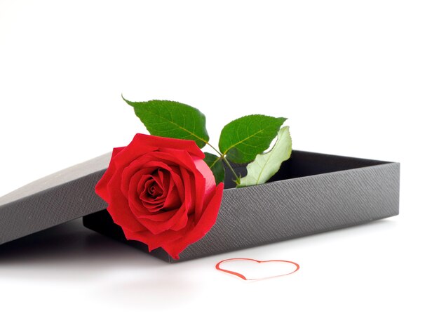 Rose rosse con confezione regalo a San Valentino