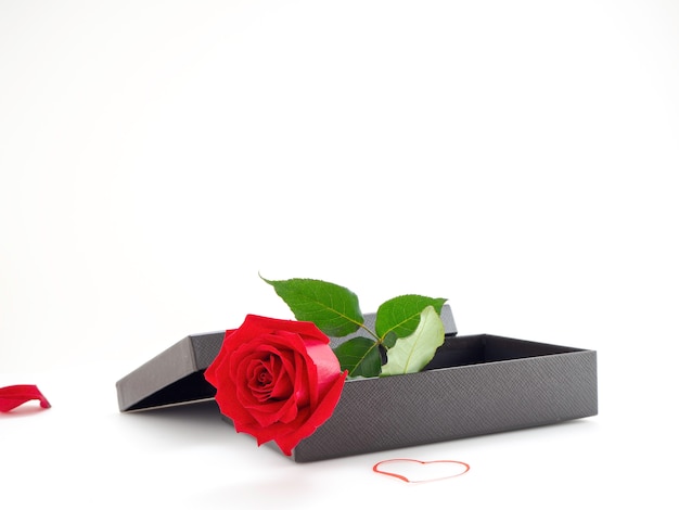 Rose rosse con confezione regalo a San Valentino