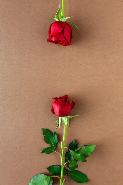 Rose rosse con sfondo marrone